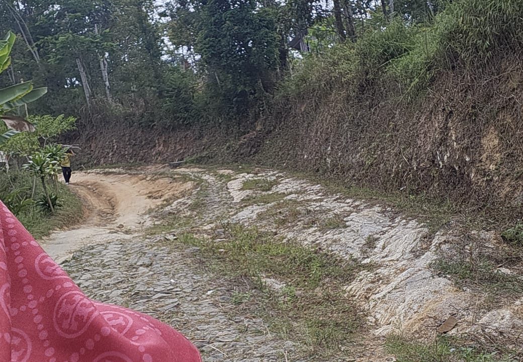 TANAH KEBUN JABON & KAPULAGA BOJONG SALAM BOGOR (6)