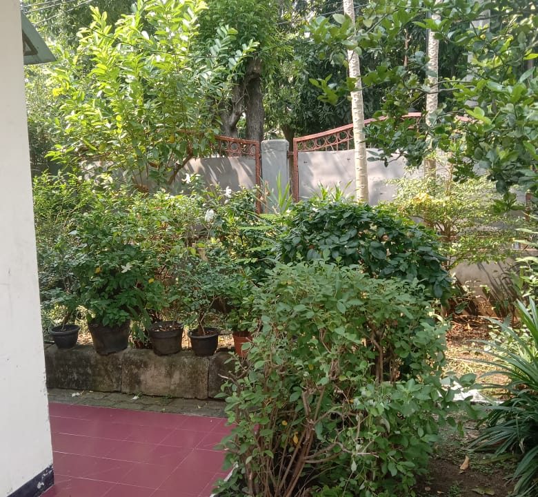 DIJUAL RUMAH BERINGIN RAYA JAKARTA BARAT (9)