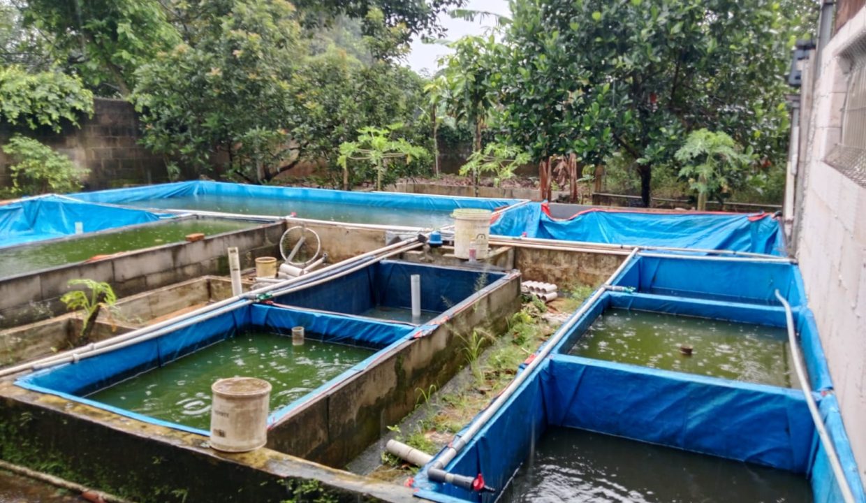 DIJUAL RUMAH VILLA AGUNG CISENG BOGOR (7)