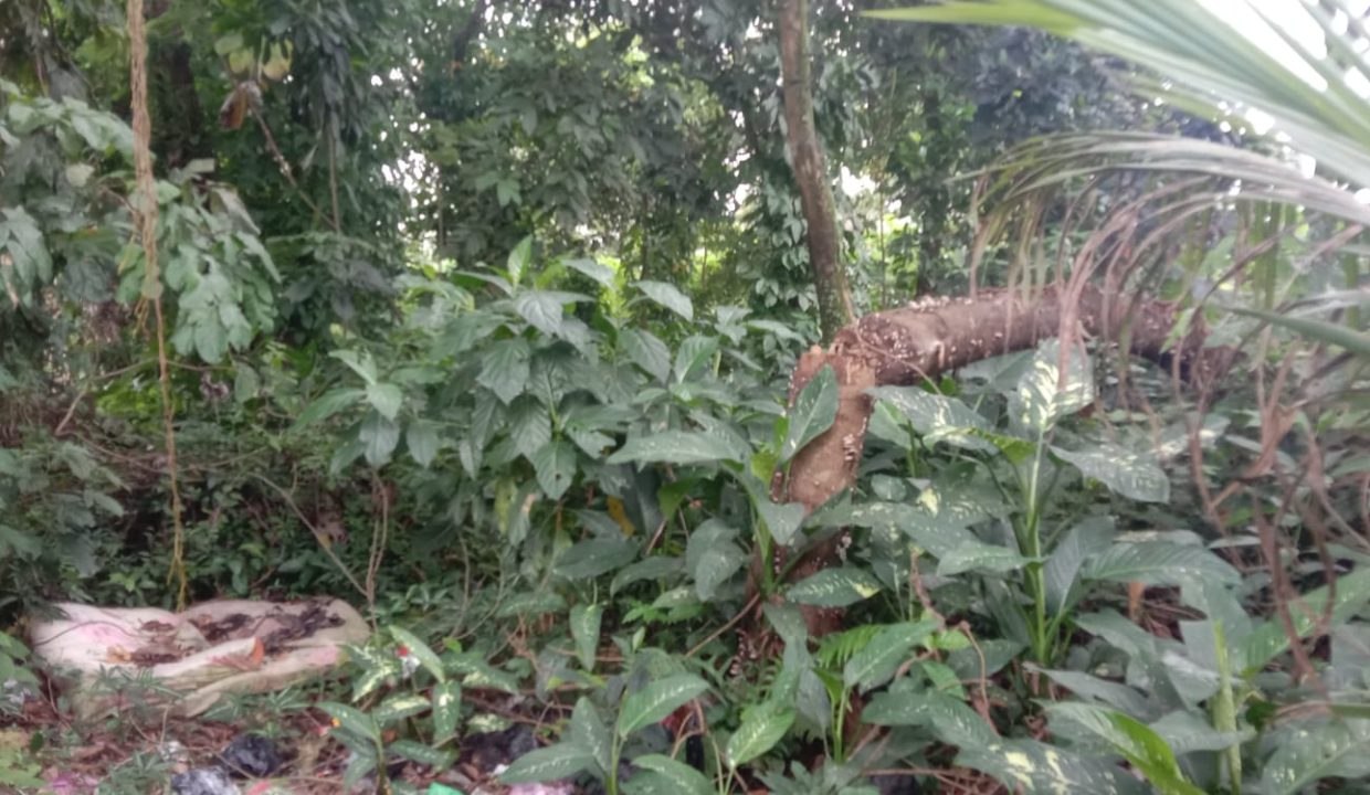 DIJUAL TANAH TANGERANG (1)