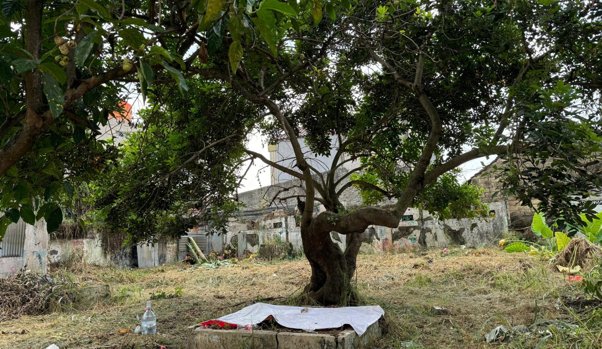 DIJUAL LAHAN LENTENG AGUNG (7)