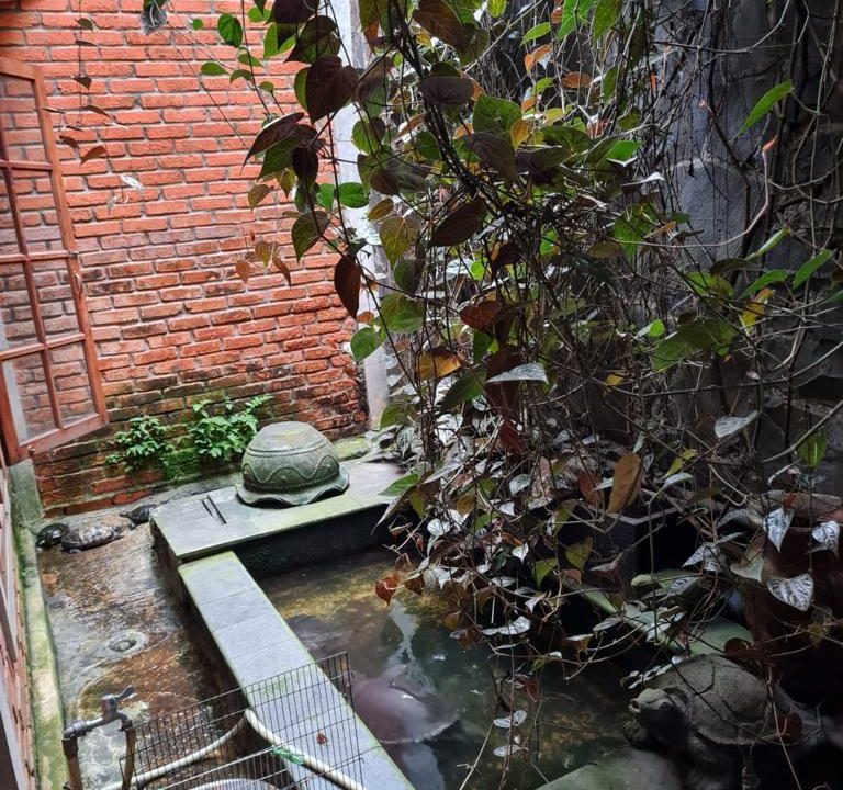 DIJUAL RUMAH BATU AMPAR JAKARTA TIMUR (7)