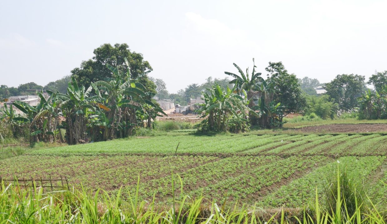 DIJUAL TANAH 9 HA CILEUNGSI  BOGOR (2)