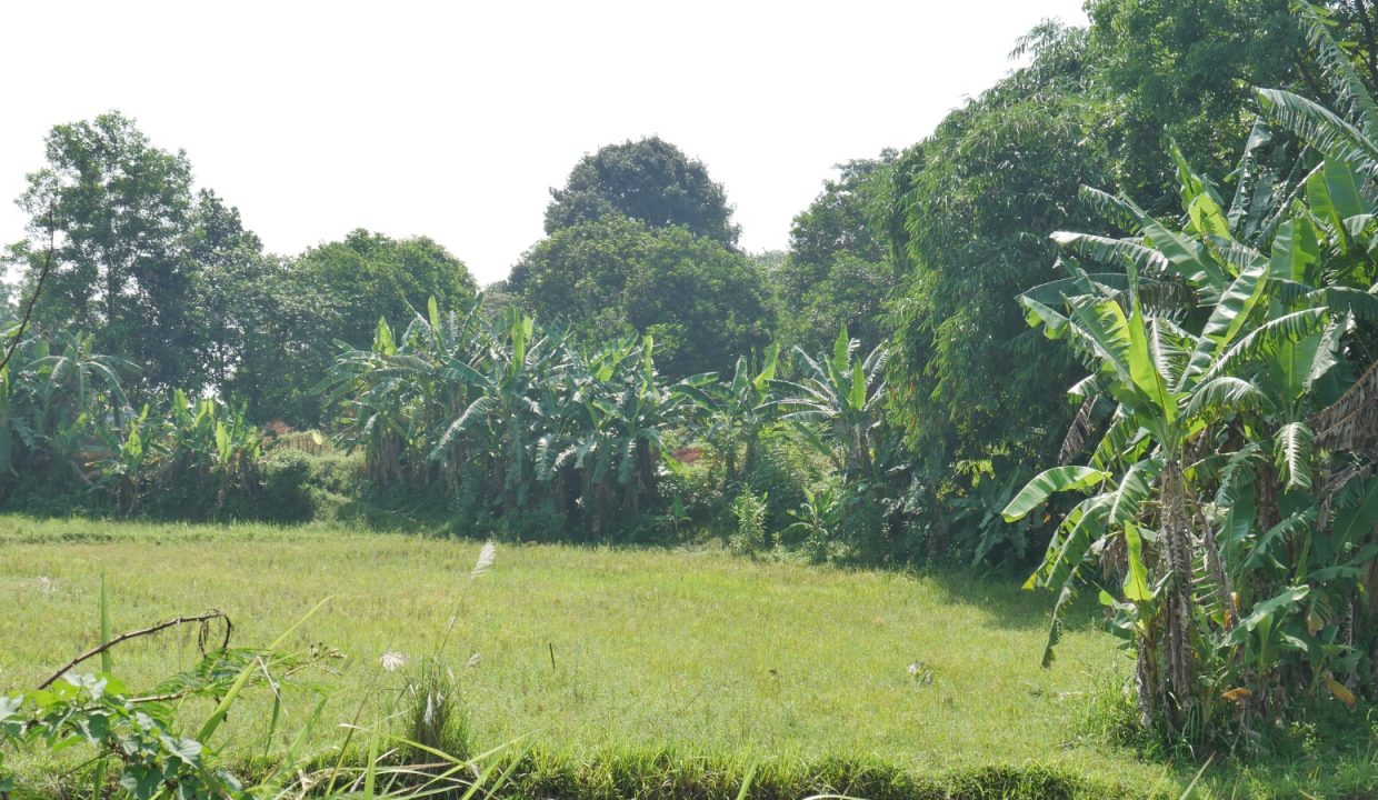 DIJUAL TANAH 9 HA CILEUNGSI  BOGOR (3)