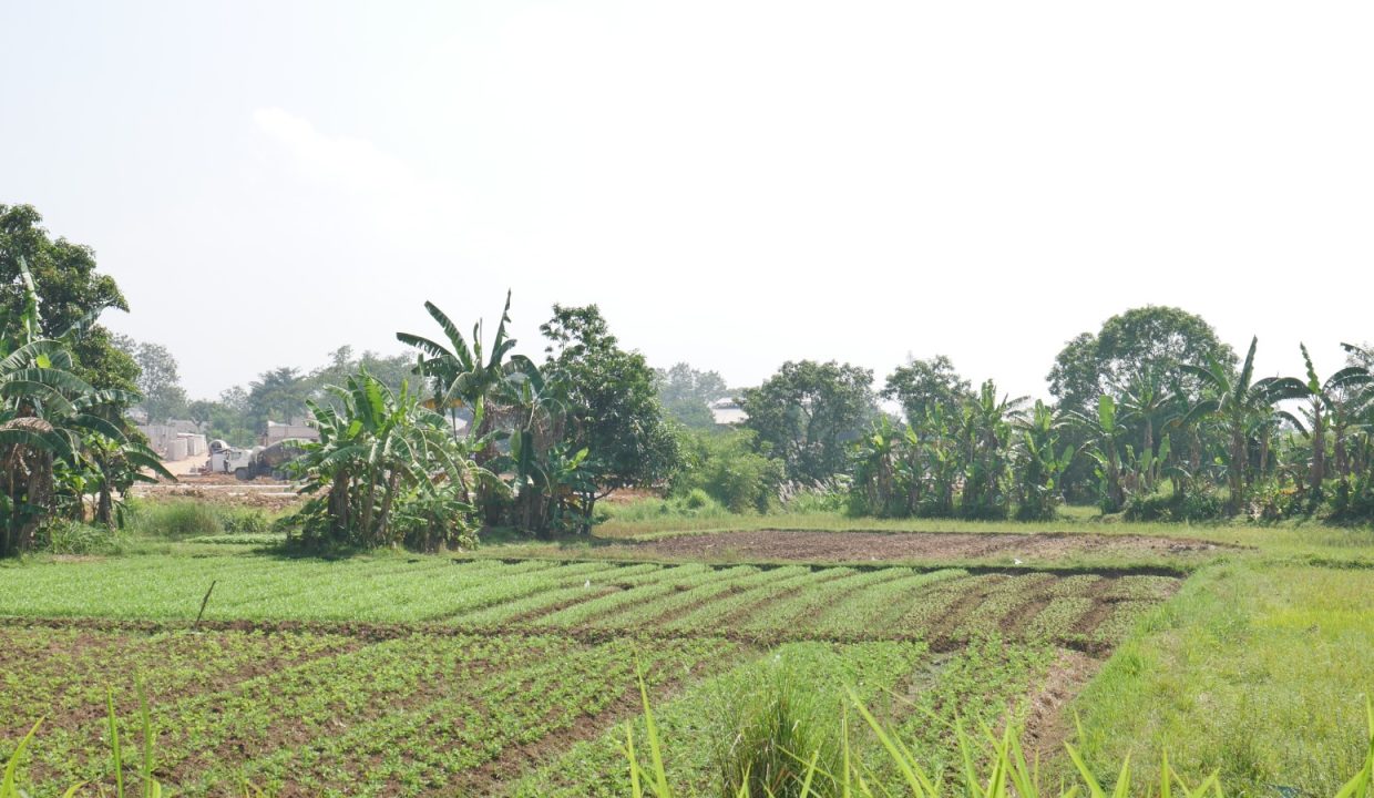 DIJUAL TANAH 9 HA CILEUNGSI  BOGOR (5)