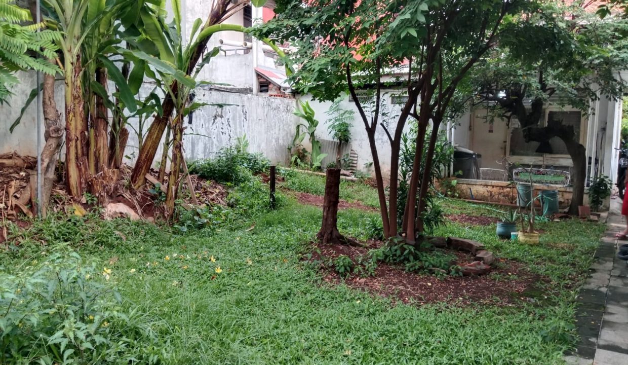 DIJUAL TANAH PETAMBURAN BONUS RUMAH JAKARTA PUSAT (4)