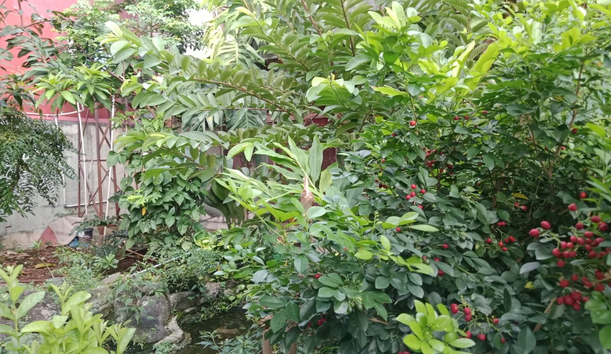 DIJUAL TANAH PETAMBURAN BONUS RUMAH JAKARTA PUSAT (9)