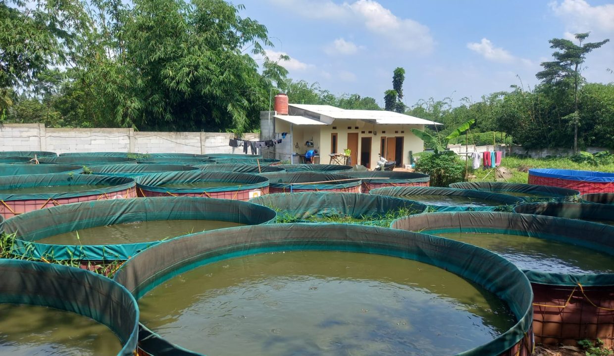 DIJUAL USAHA PARUNGPANJANG BOGOR (0,3)