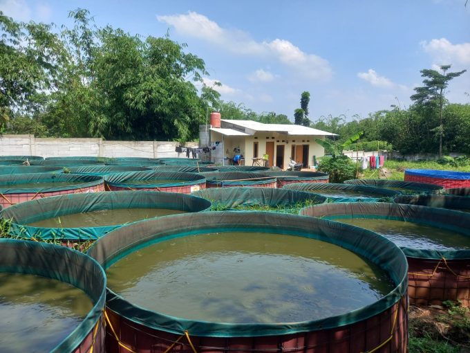DIJUAL ASET PRODUKTIF + TANAH STRATEGIS PARUNGPANJANG BOGOR 
