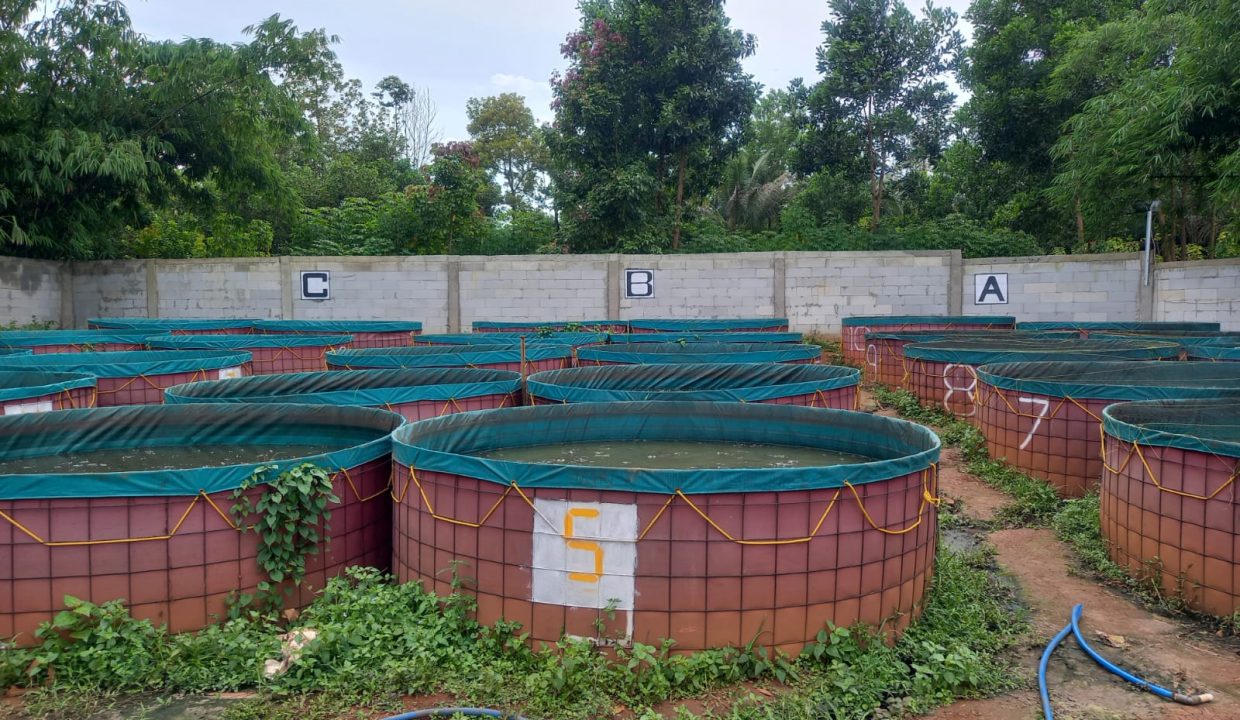 DIJUAL USAHA PARUNGPANJANG BOGOR (2)