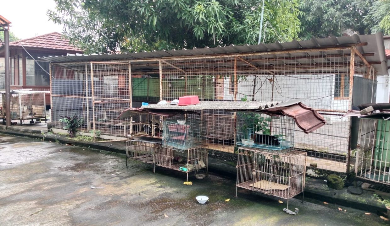 DIJUAL LAHAN + 3 RUMAH KREO BALI (10)