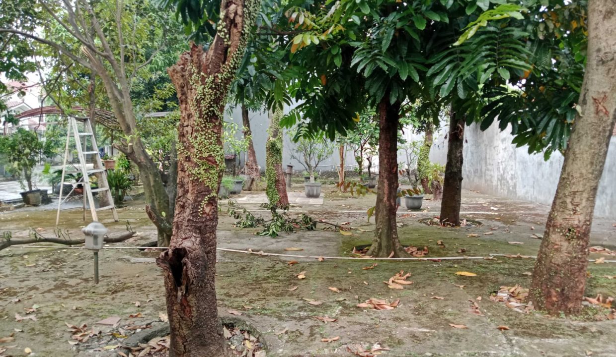 DIJUAL LAHAN + 3 RUMAH KREO BALI (8)