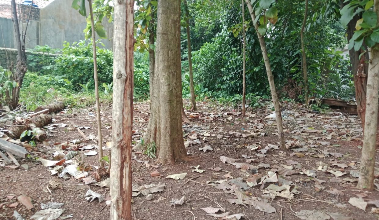 DIJUAL LAHAN KREO TANGERANG (11)