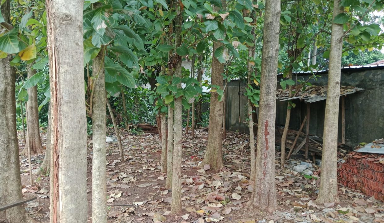 DIJUAL LAHAN KREO TANGERANG (13)