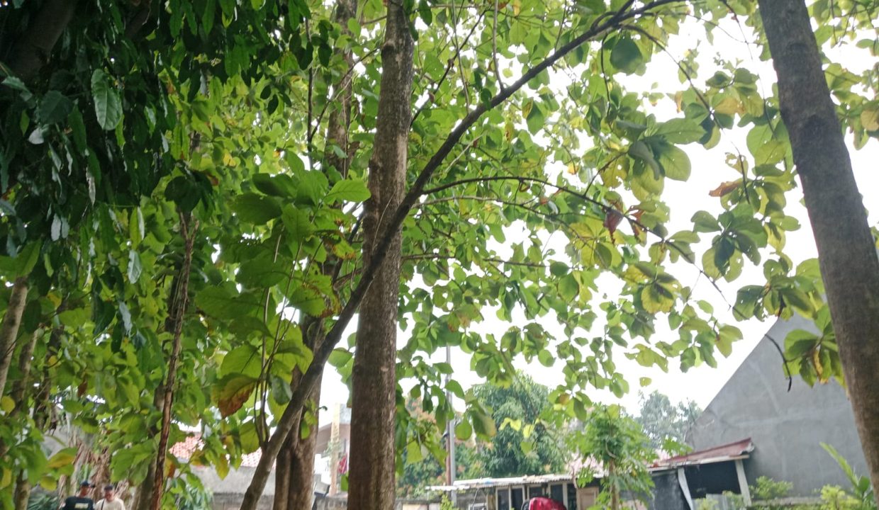 DIJUAL LAHAN KREO TANGERANG (5)