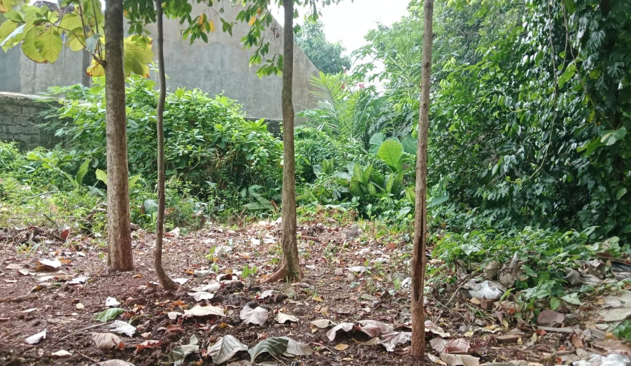 DIJUAL LAHAN KREO TANGERANG (6)