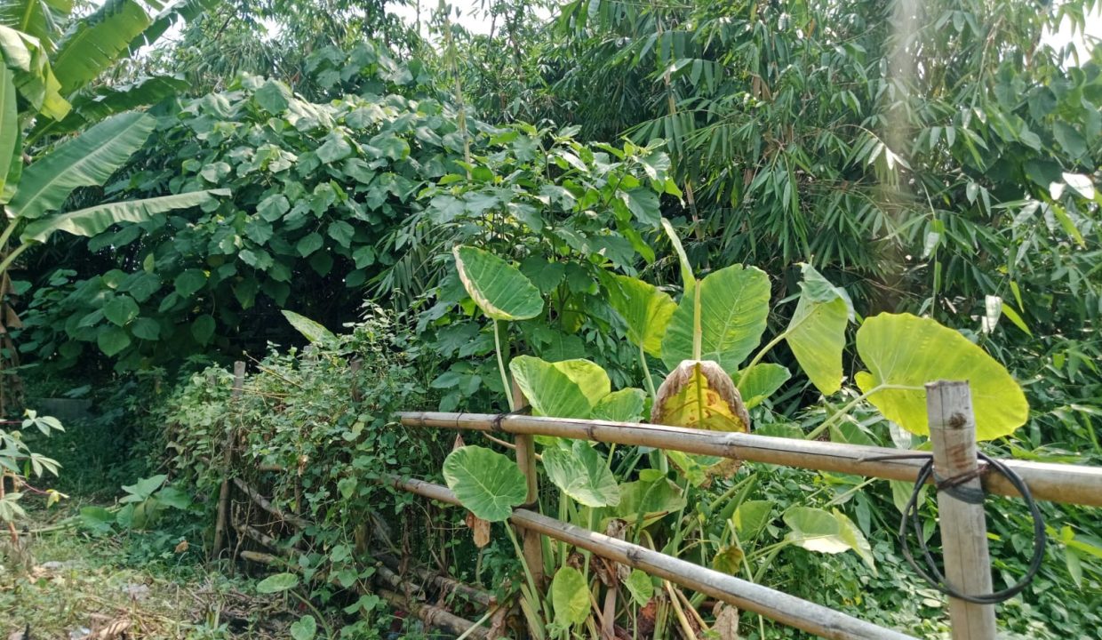 DIJUAL TANAH CILENGGANG (2)