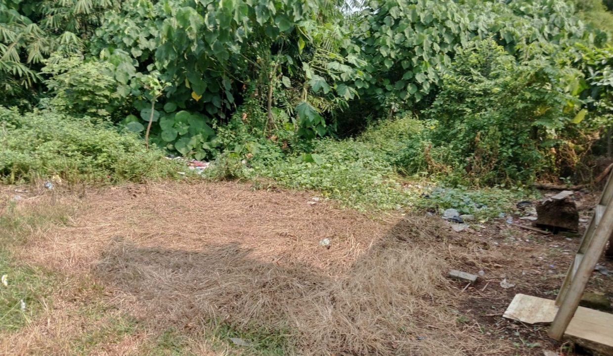 DIJUAL TANAH CILENGGANG (4)