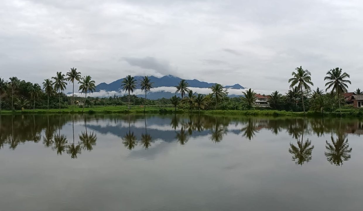 DIJUAL KOLAM IKAN SITUSARI TASIKMALAYA JAWA BARAT (4)