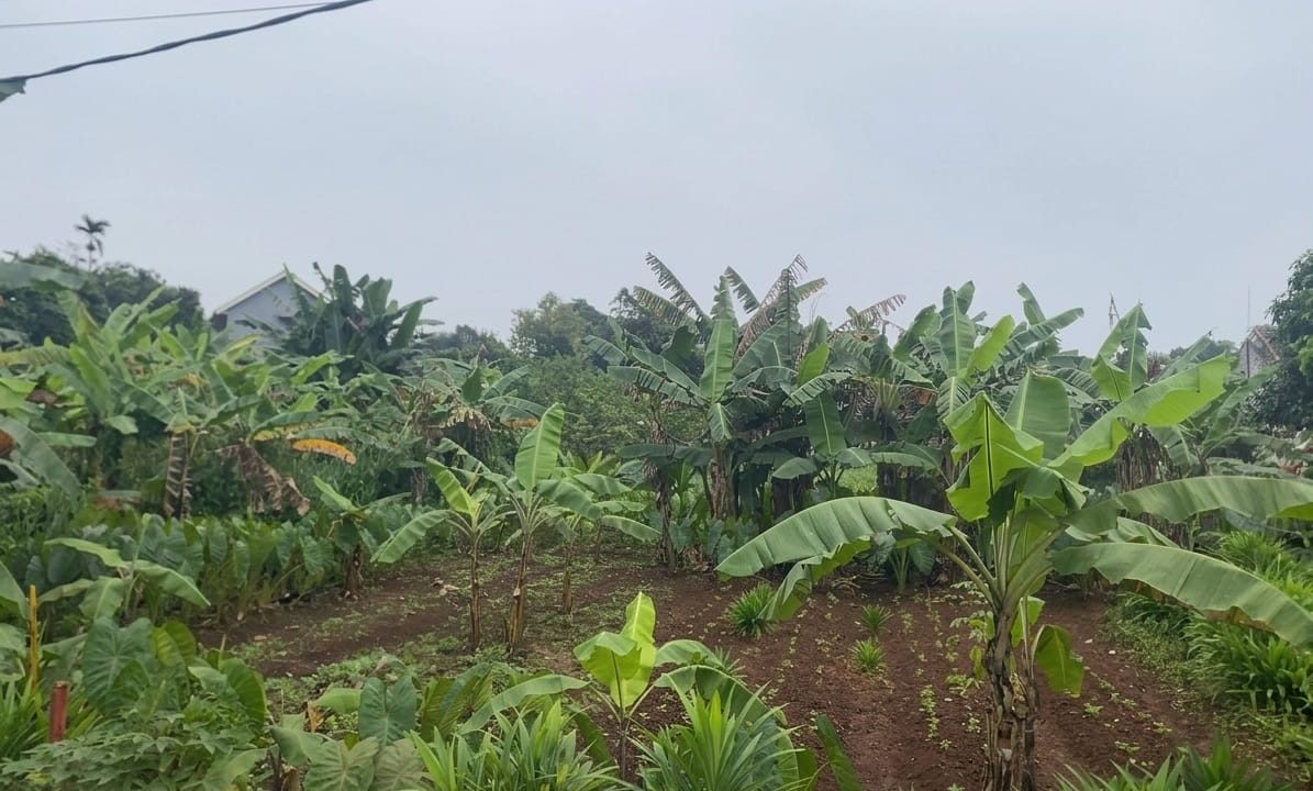 DIJUAL TANAH SAWANGAN DEPOK (1)
